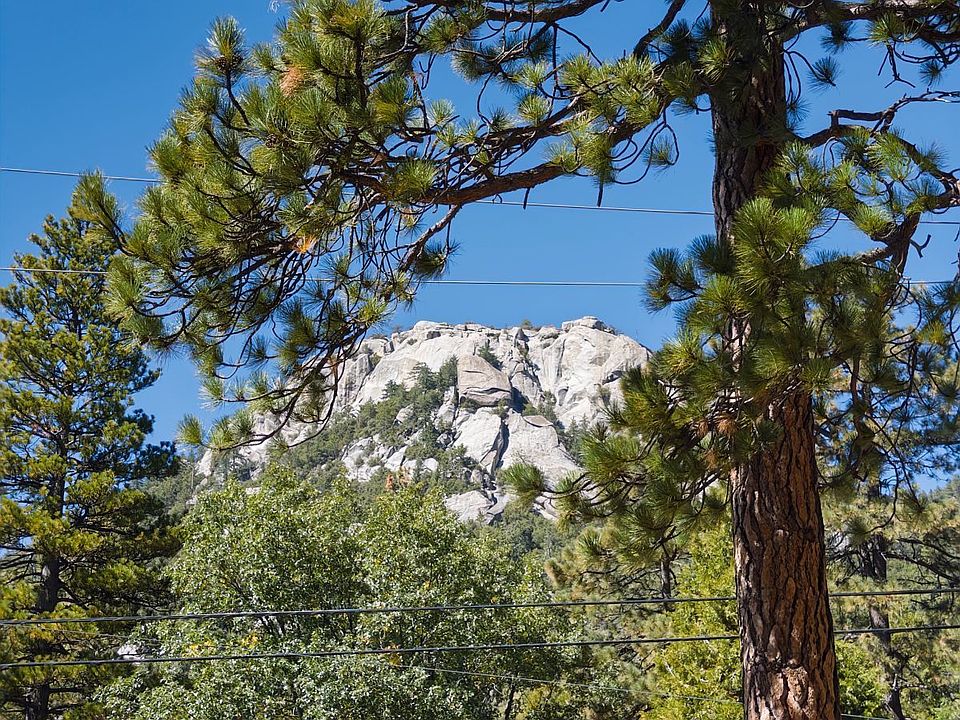 1st image of Forest Dr