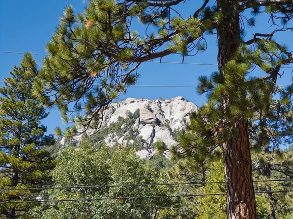 Forest Dr, Idyllwild, CA 92549