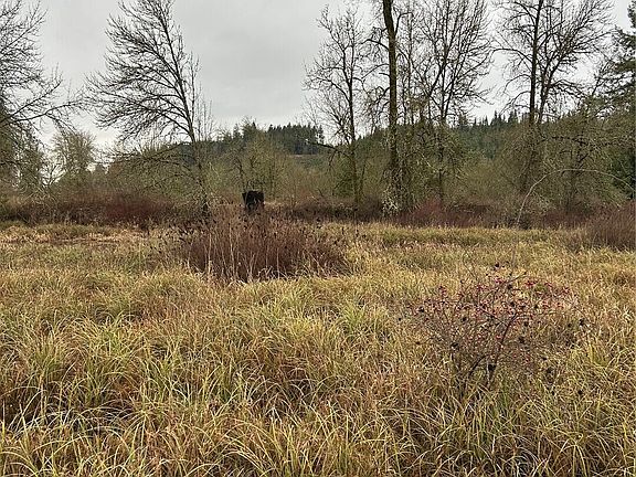 4th image of 218 Lincoln Creek Road