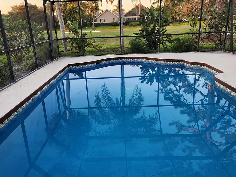 Back Yard View