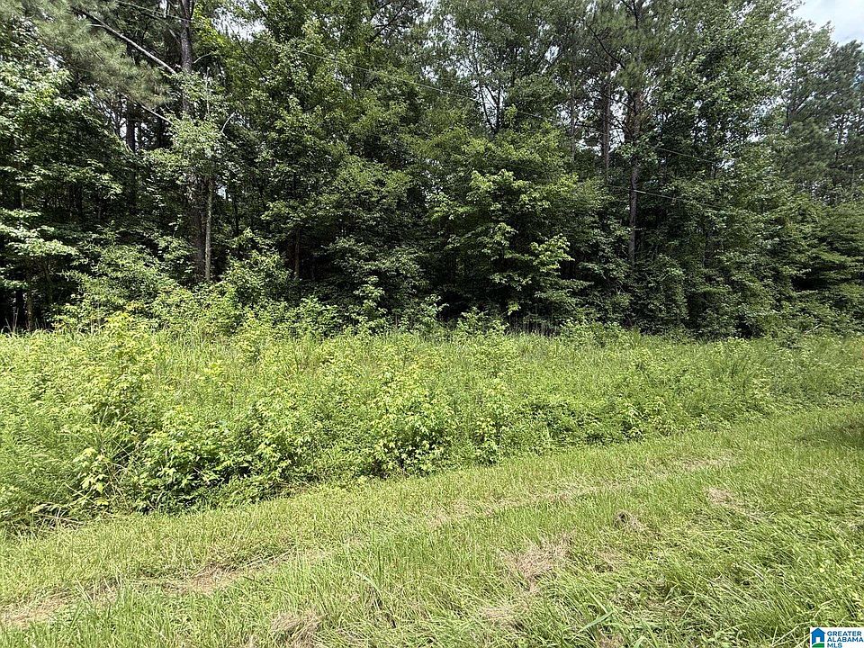 2nd image of Tracts 1 & 2 County Rd #103