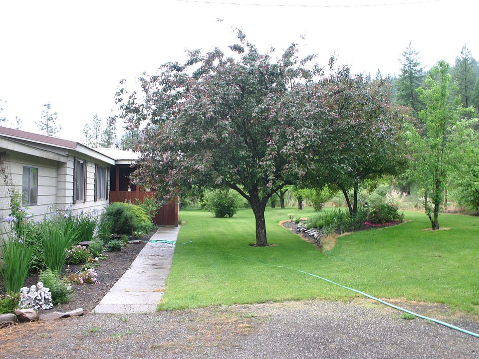 Walk way&yard in summer