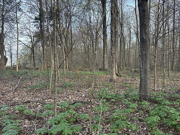 2nd image of 168 Fleming Rd Lot 1