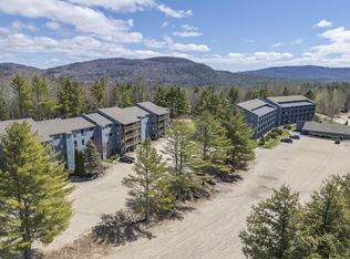 10 Brookside Drive #1B308, Newry, ME 04261