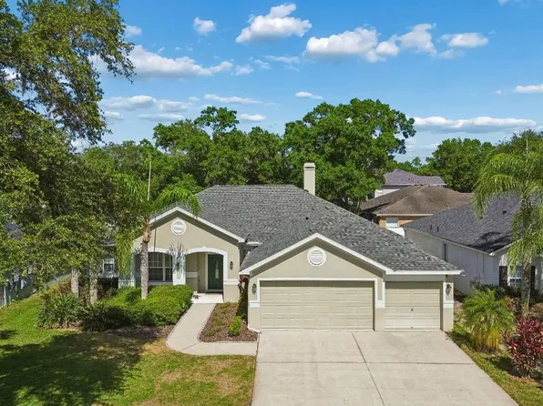 15217 Octavia Ln, Odessa, FL 33556