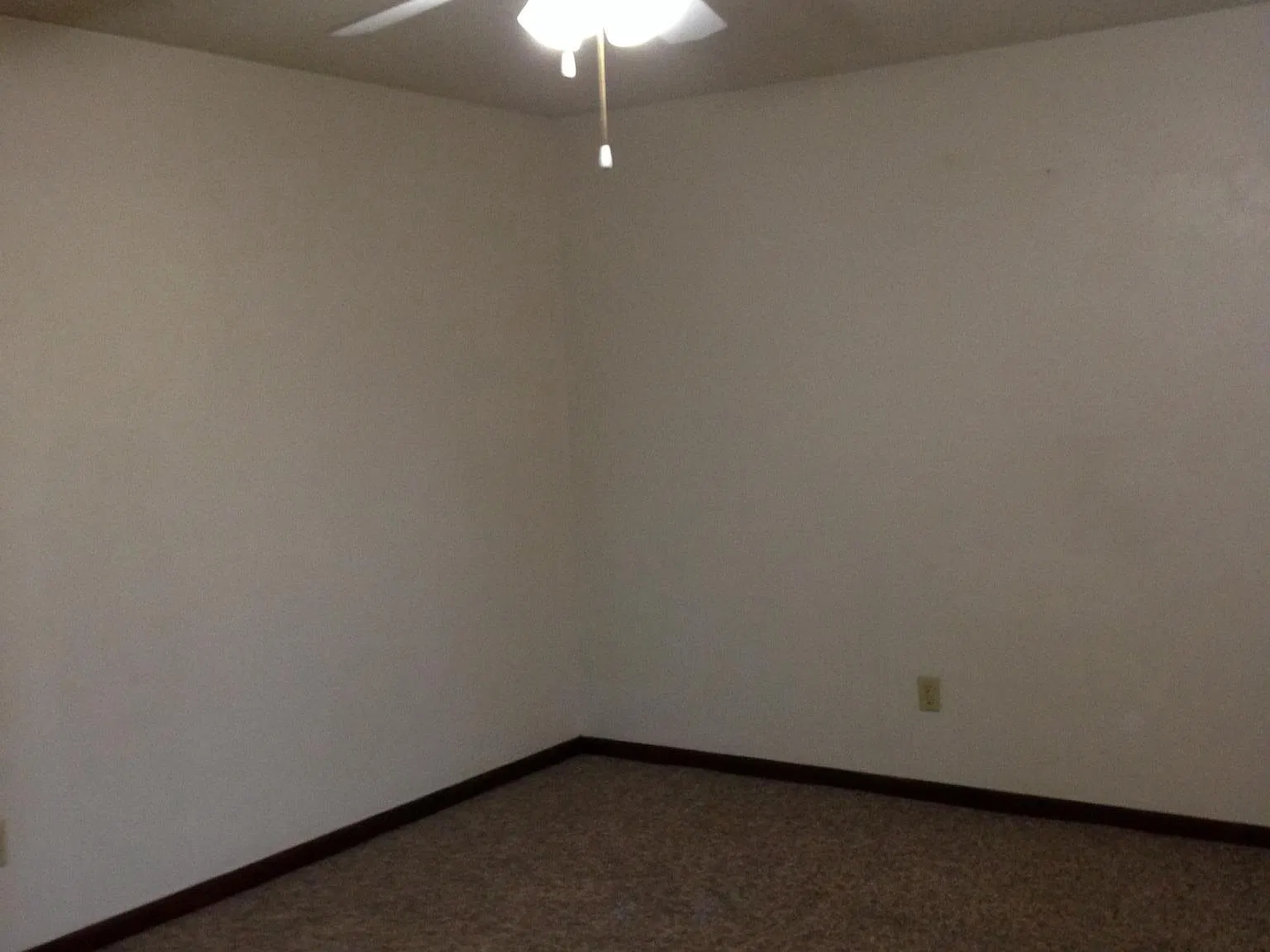 3 bed, 1.5 bath, $1,000 — Photo 3