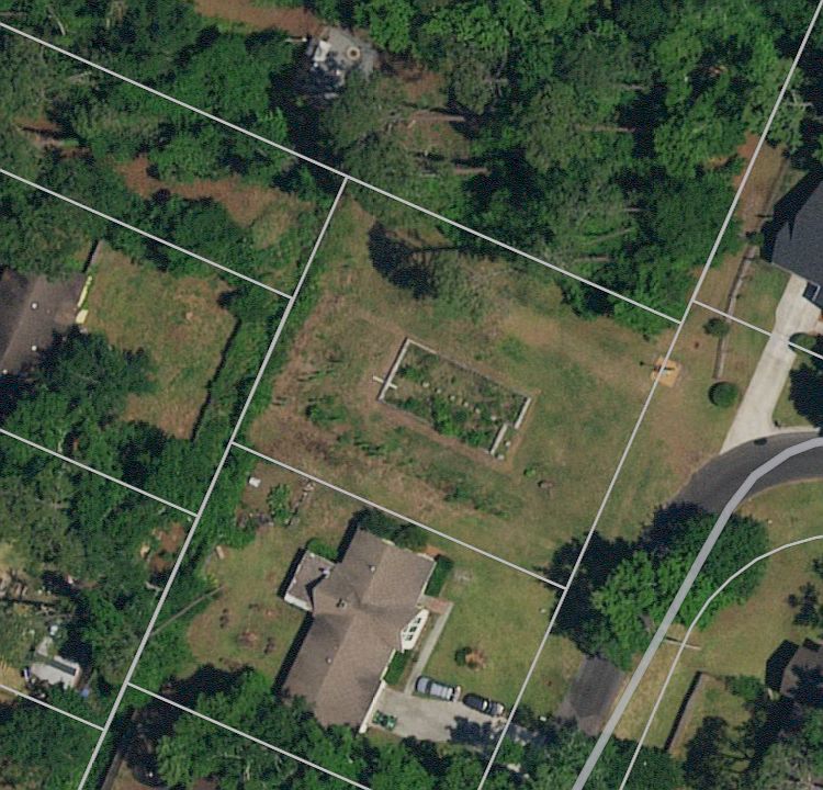 After tree removal 