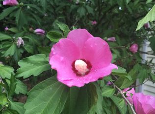 239 Forge Village Rd, Groton, MA 01450