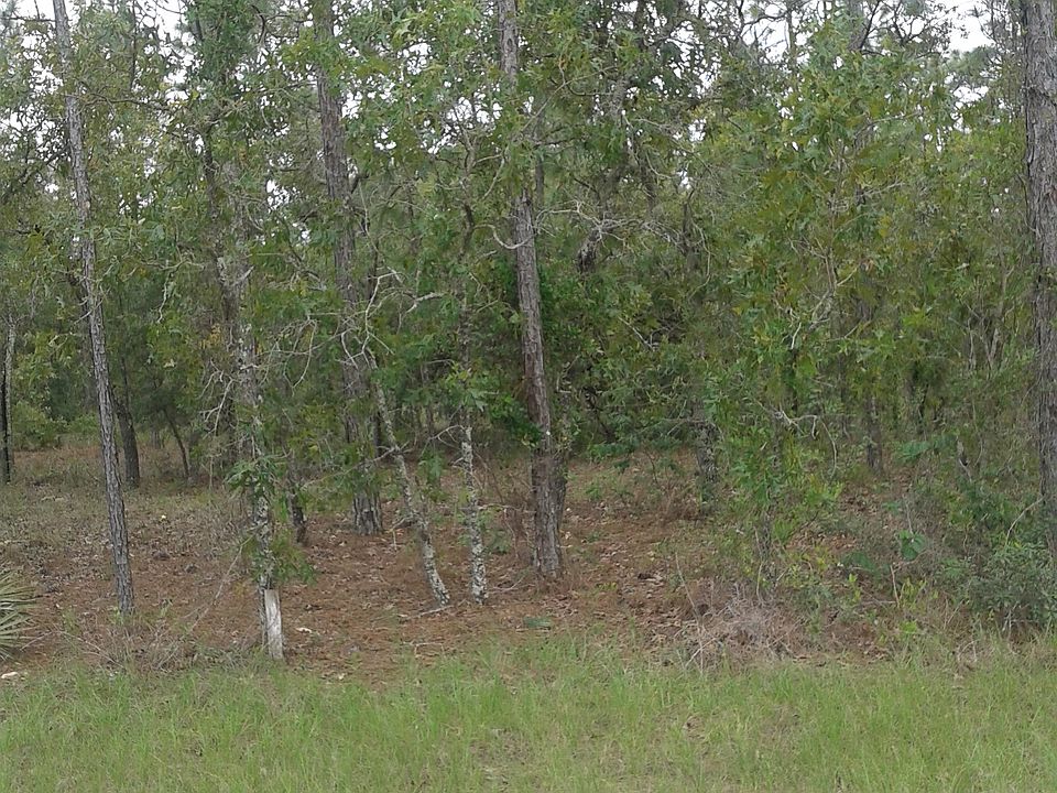 1st image of 13052 Scissorbill Ave