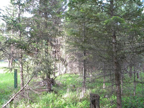 5th image of Nhn Elk Trl