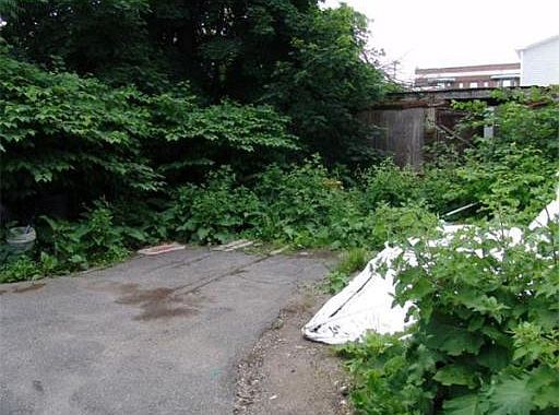 2nd image of 8 Duncan Pl