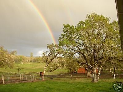 view from house facing south