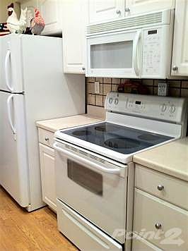 New Appliances to match!