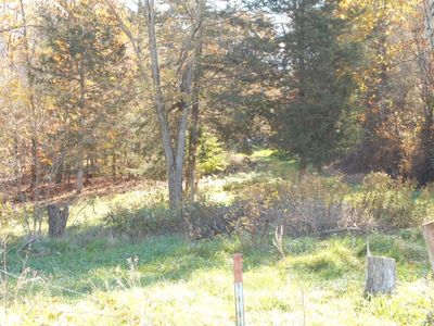 140 Cobblestone Ln, Shenandoah, VA, 22849