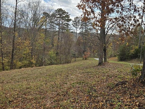 3rd image of 0 Hickory Pointe Ln Lot 0