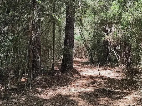 Plantation Ln, Defuniak Springs, FL 32433