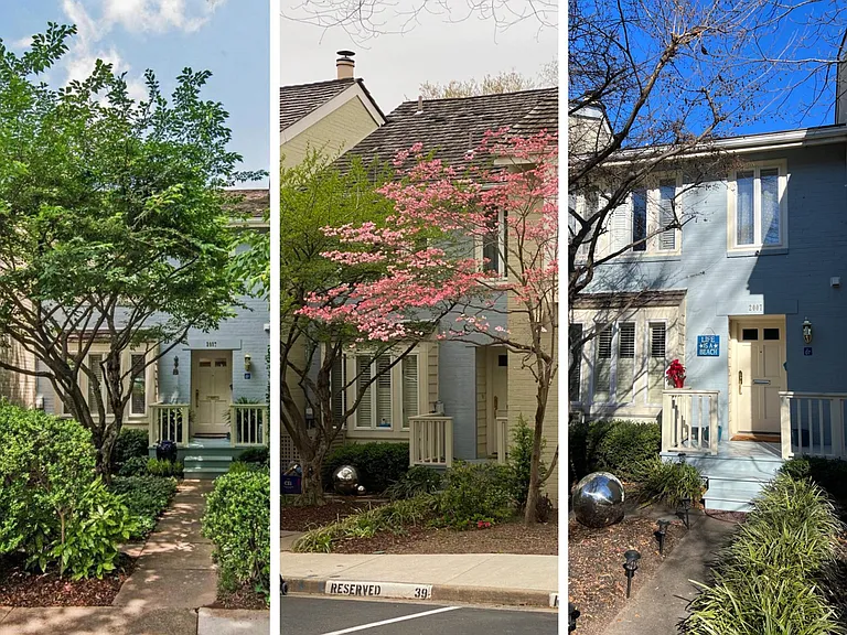 Front over seasons