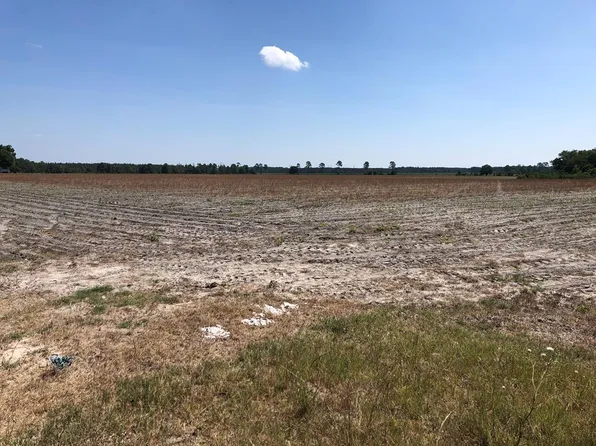 00 Moray Rd Approx 106 Ac, Alma, GA 31510