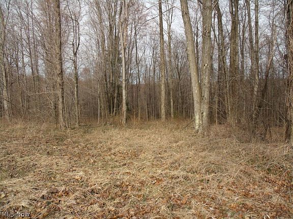 3rd image of 5683 Hickory Wood Dr