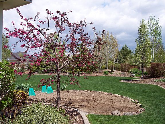 Garden - Getting ready!