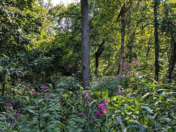 4th image of 0 Plantsville Rd