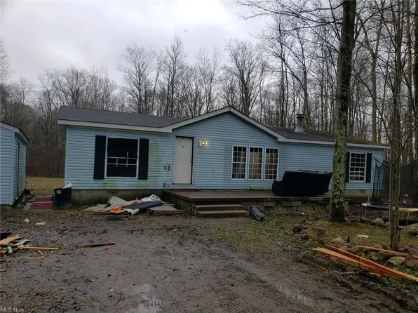 9172 Slagle Rd, Windham, OH 44288