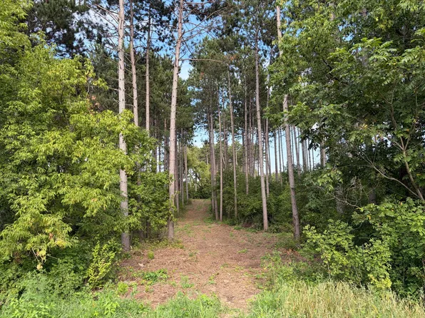 Tulip St NW, Stanchfield, MN 55080