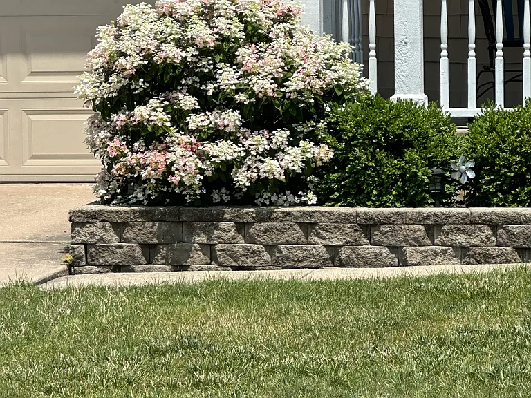 92 E South Ave — Photo 7