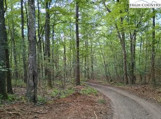 TBD Elk Knob Road, Laurel Springs, NC 28644
