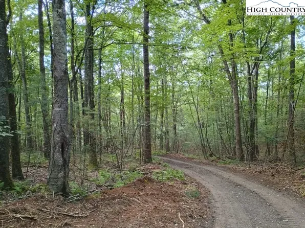 TBD Elk Knob Road, Laurel Springs, NC 28644