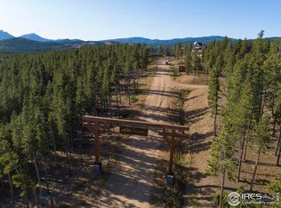 10 Caribou Ridge Dr, Nederland, CO 80466