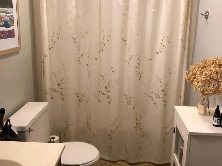 2 Waldron Ct #1 — Photo 5