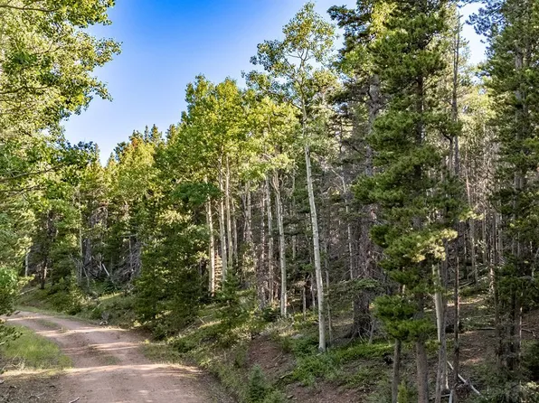 LOT 3231 Zipf Ln, Fort Garland, CO 81133