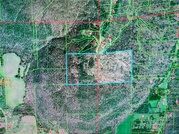 76ACRE S Blowing Cave Rd, Gurley, AL 35748
