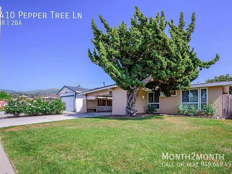 3410 Pepper Tree Ln — Photo 45