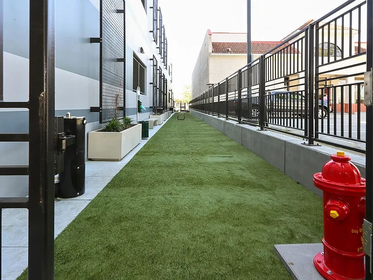 Fenced-in dog park for your furry friends