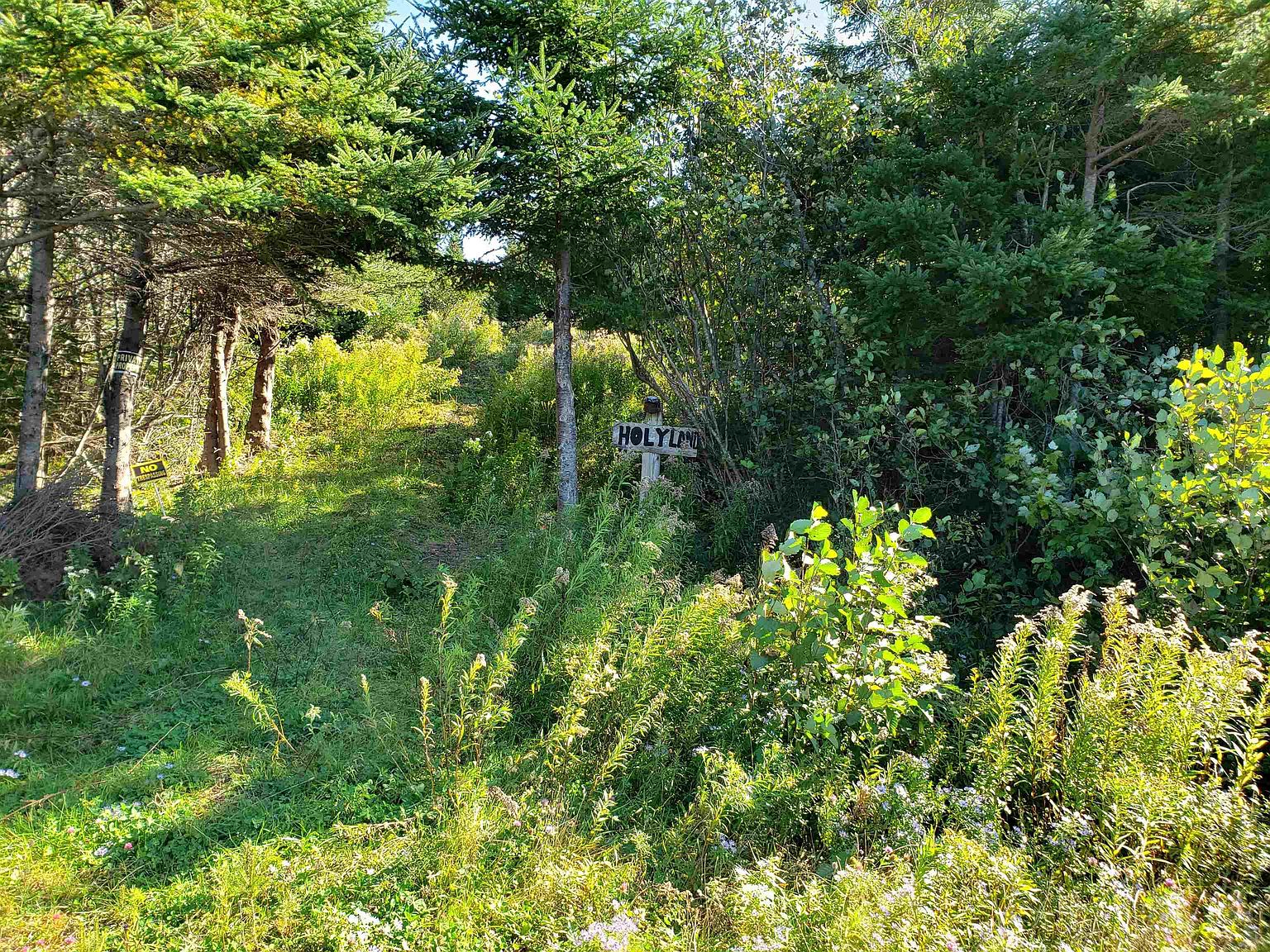 0 Sunnyville Rd, Guysborough, NS B0H 1N0 MLS 202400312 Zillow