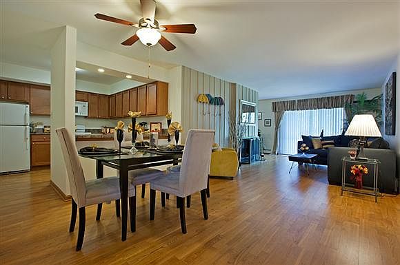 Living and dinning room