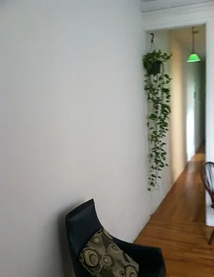 Rented by Rapid Realty Cobble Hill | media 30