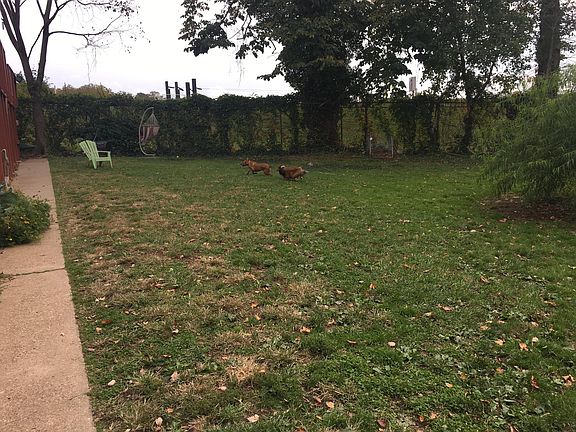 Large fenced-in backyard (shared with neighbors)