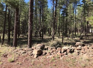 7401 E Robin Hood Rd, Williams, AZ 86046