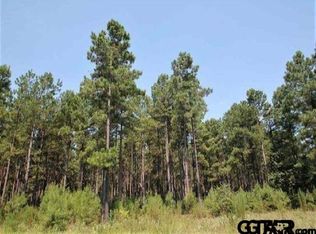 Tbd Fm 2869, Hawkins, TX 75765