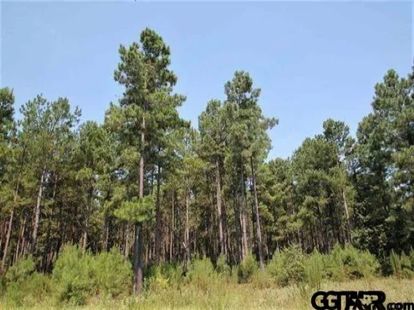 Tbd Fm 2869, Hawkins, TX 75765