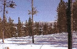 1st image of 18 RIDGE Court #