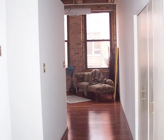 Hallway to living area, large closet on right side