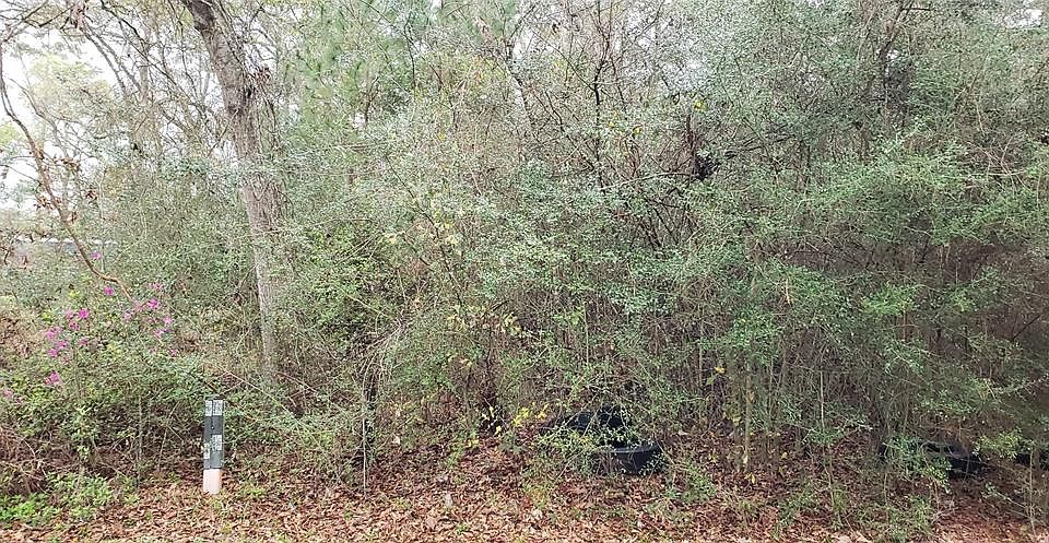 2nd image of 23515 Creek Wood Dr