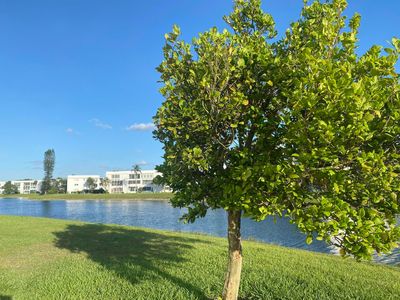 353 Wellington H, West Palm Beach, FL, 33417