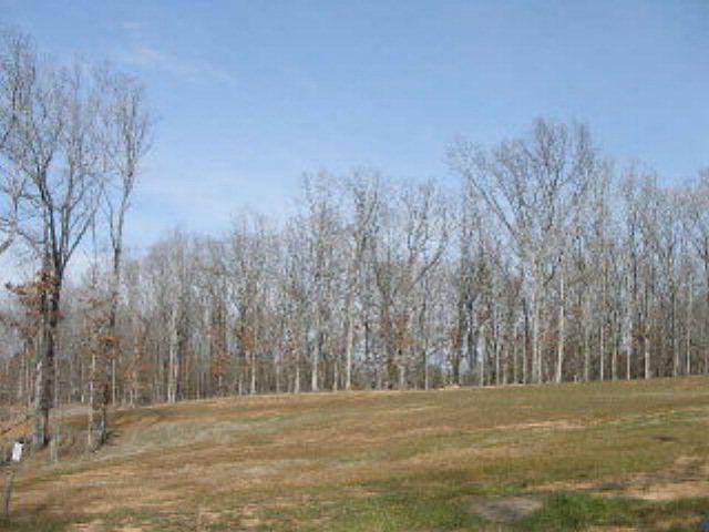 1st image of 1034 Whitetail Dr
