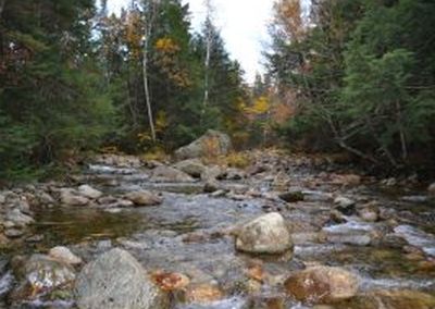 Paquette Dr., Carroll, NH, 03595