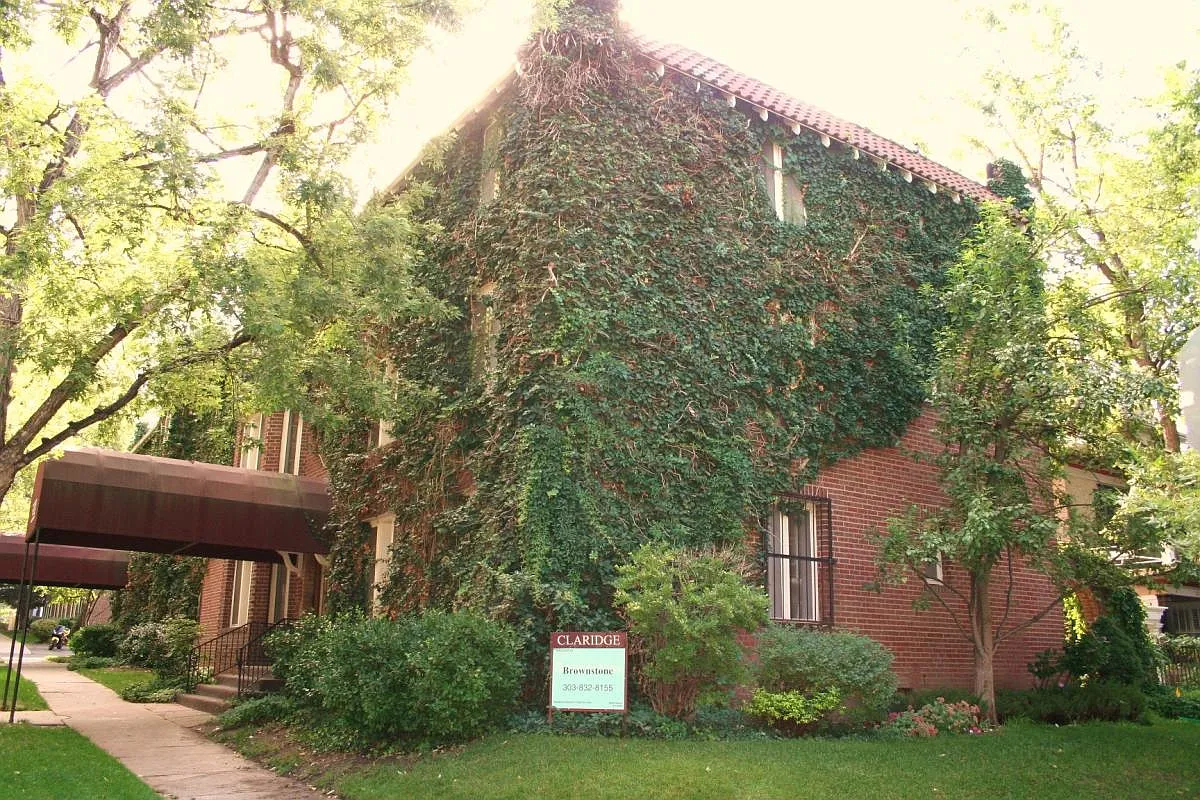 1 bed, 750 sqft, $1,595 — Photo 1